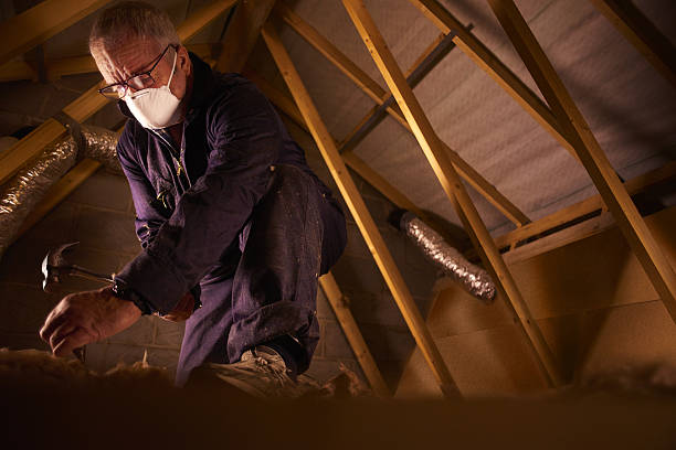 Best Energy Efficiency Insulation in Talluh, LA