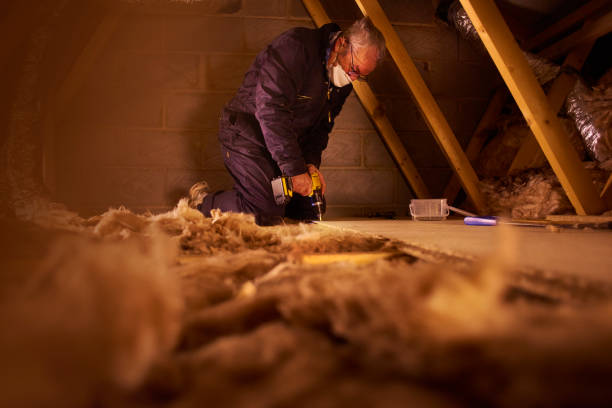 Trusted Tallulah, LA Insulation Contractor Experts